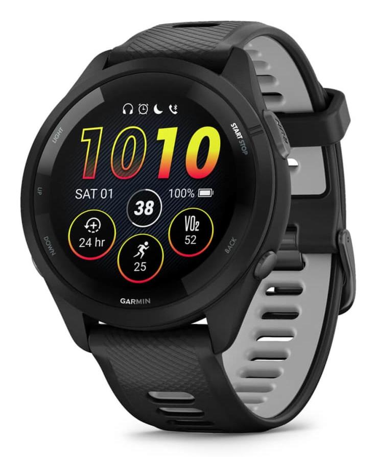 GARMIN 010-02810-10