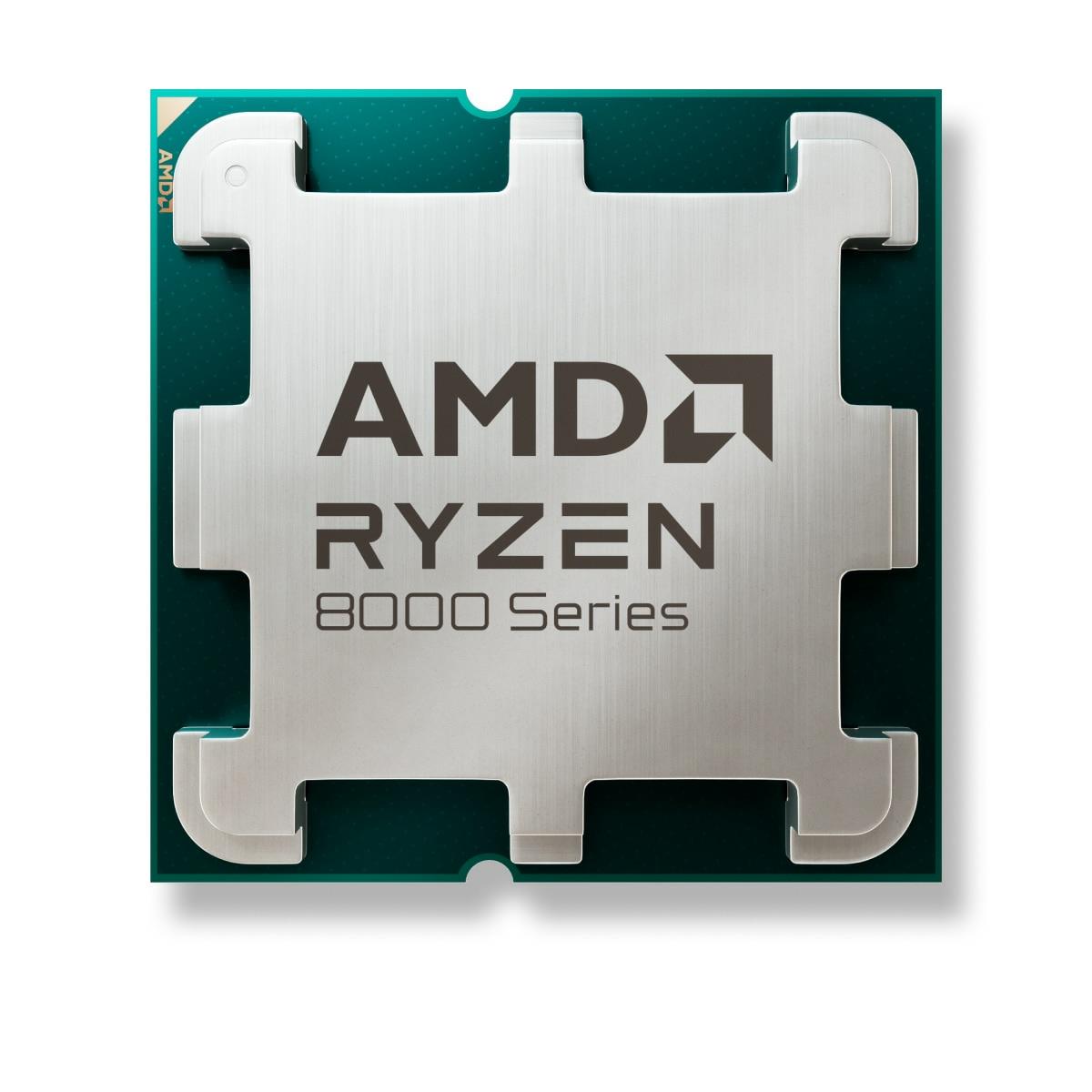 AMD 100-000001591