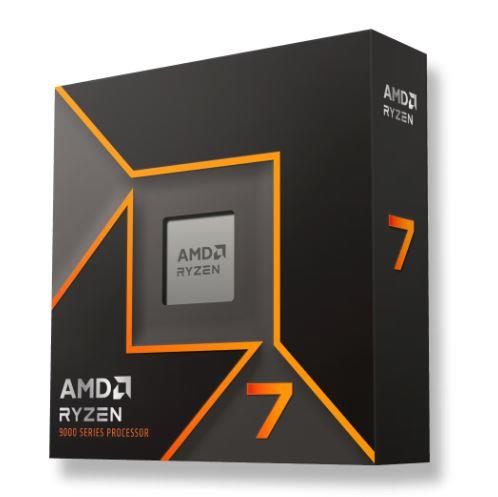 AMD 100-100001404WOF