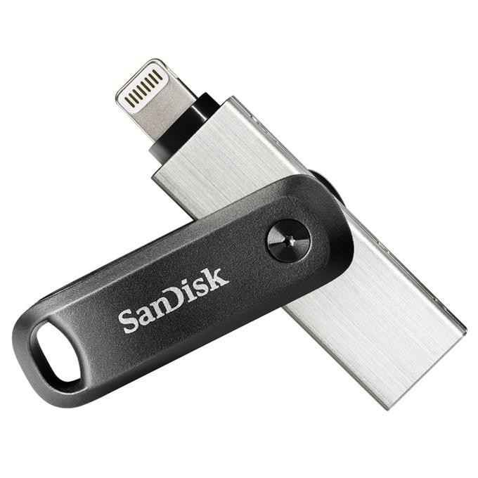 SANDISK SDIX60N-256G-GN6NE