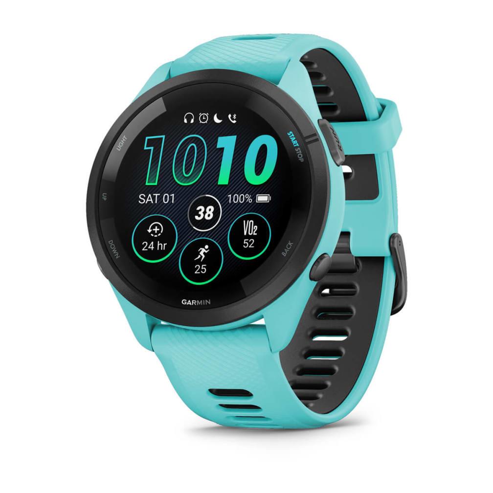 GARMIN 010-02810-12