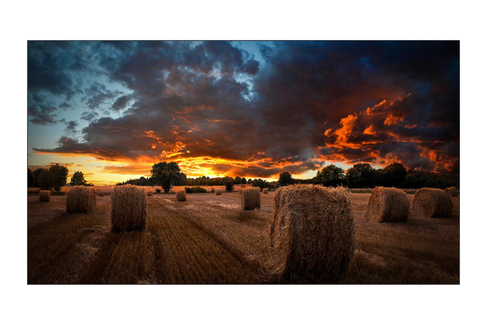 SAMSUNG LH46VMBUBGBXEN