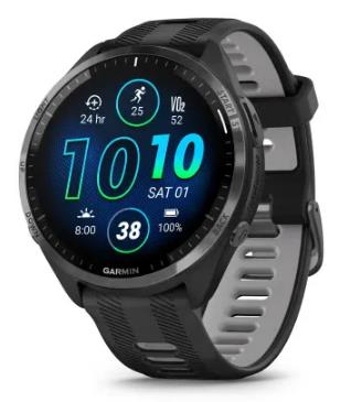 GARMIN 010-02809-10