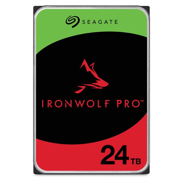 SEAGATE ST24000NT002