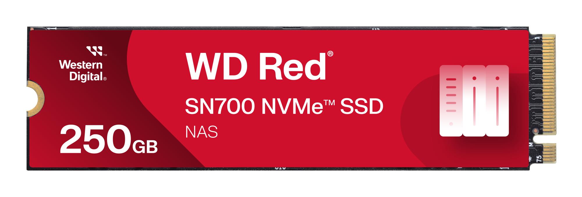 SANDISK WDS250G1R0C