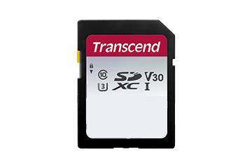 TRANSCEND TS256GSDC300S