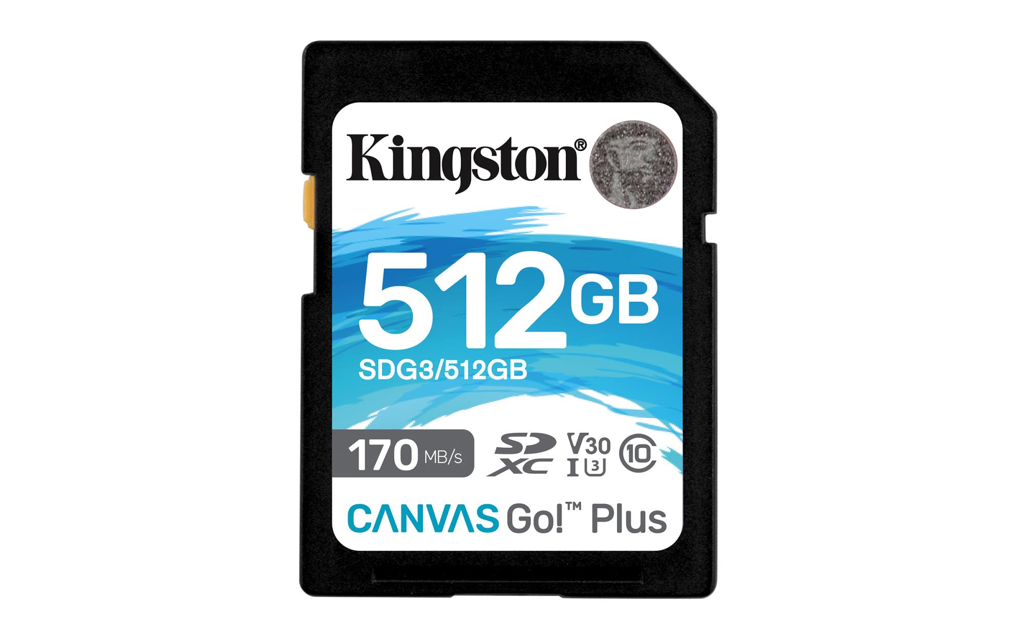 KINGSTON SDG3/512GB