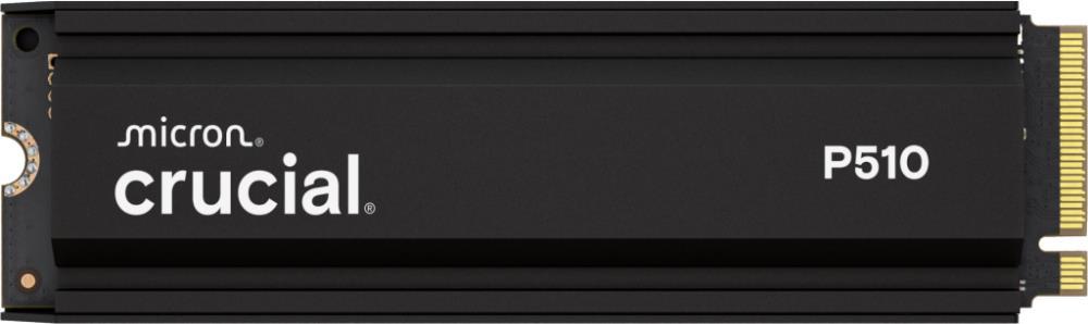 CRUCIAL CT1000P510SSD5