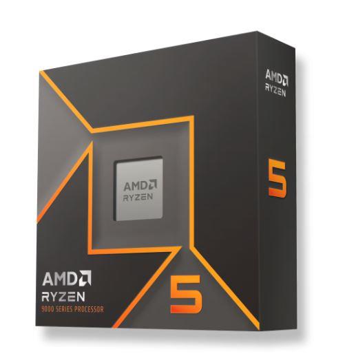 AMD 100-100001405WOF