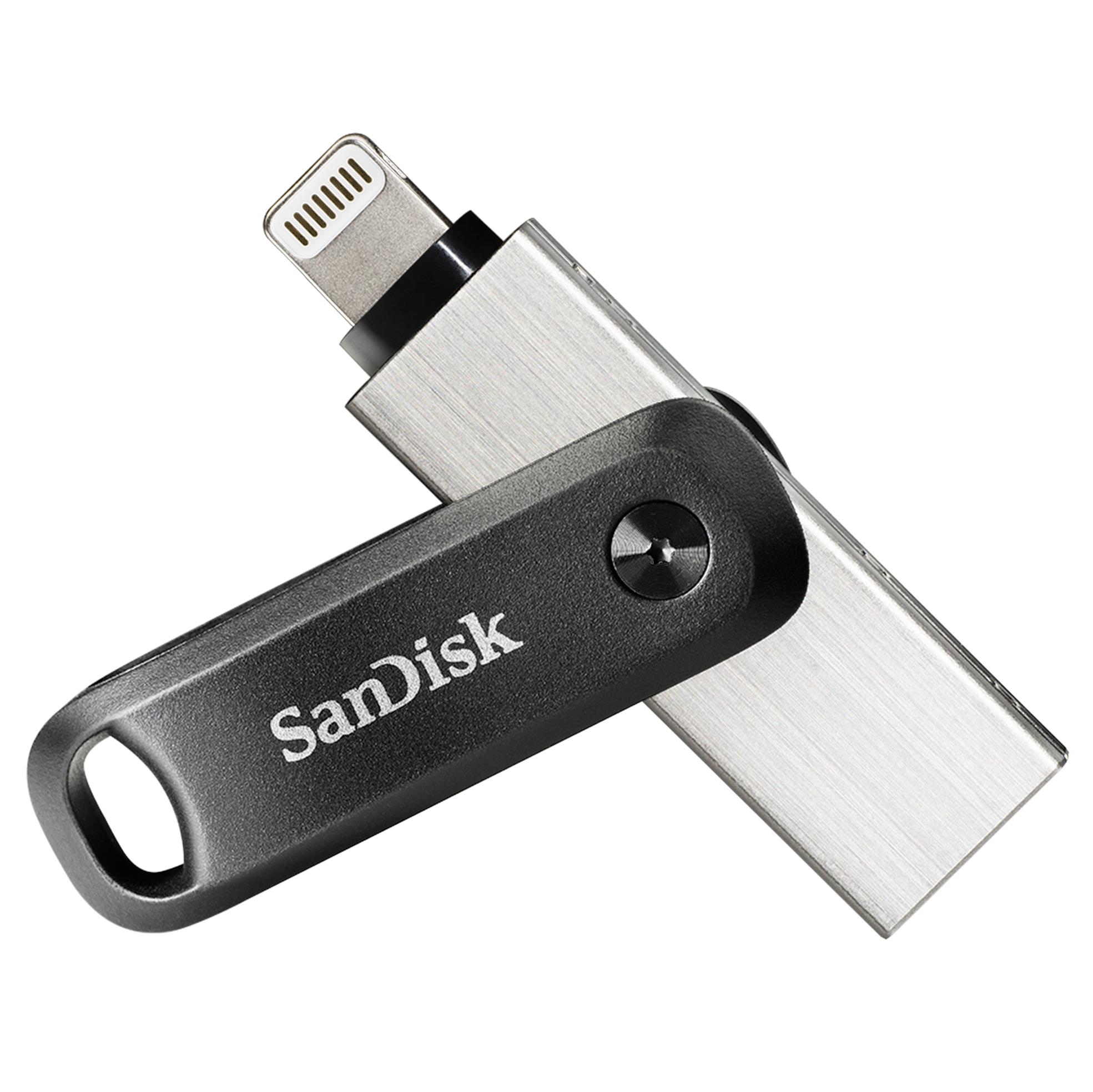 SANDISK SDIX60N-256G-GN6NE