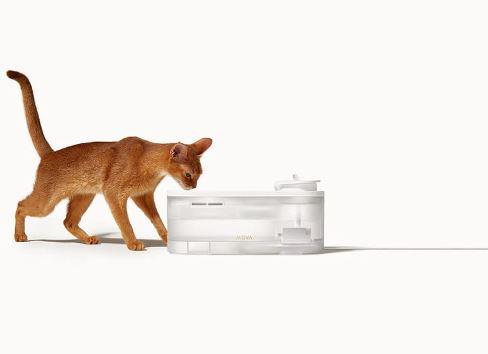 Поїлка фонтанчик для тварин Mova WF10 Pro PWB20A (Білий) дивитися зображення № 4