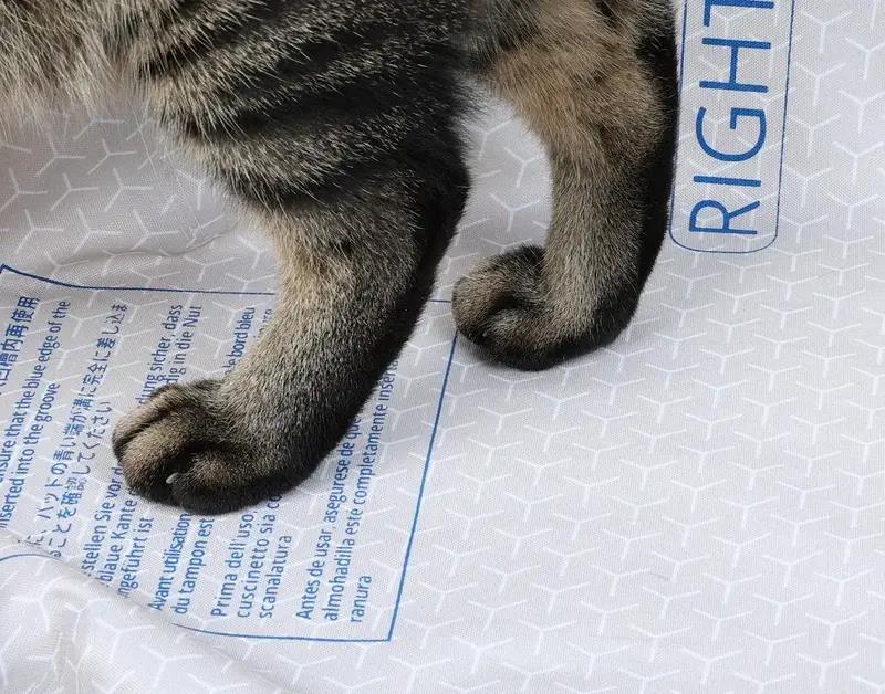 Змінна підкладка для наповнювача PETKIT High Performance Cat Litter Pad ULTRA P99035 (Білий) дивитися зображення № 8