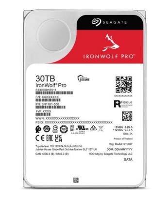 SEAGATE SEST30000NT011