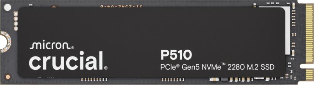 CRUCIAL CT1000P510SSD8