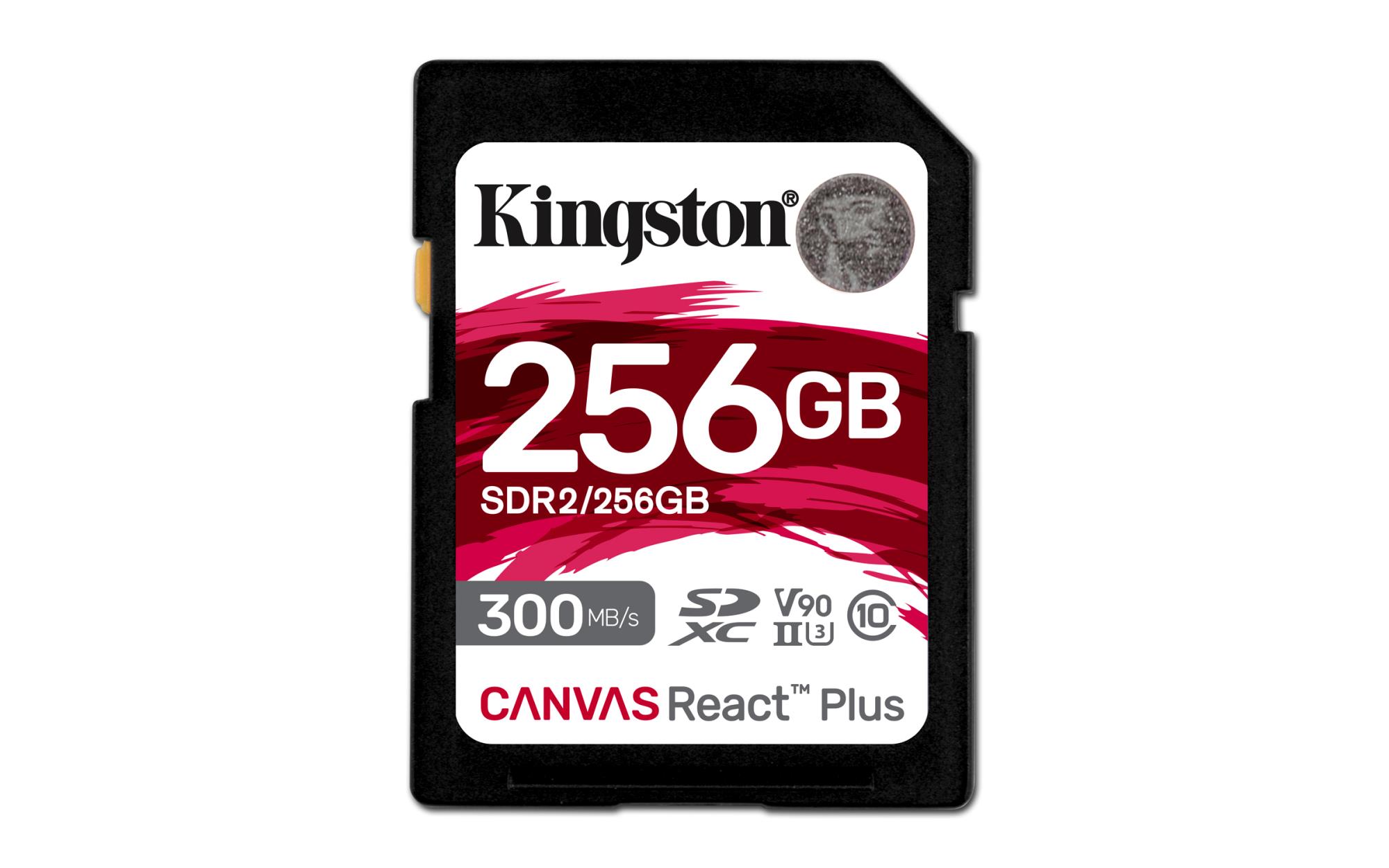 KINGSTON SDR2/256GB