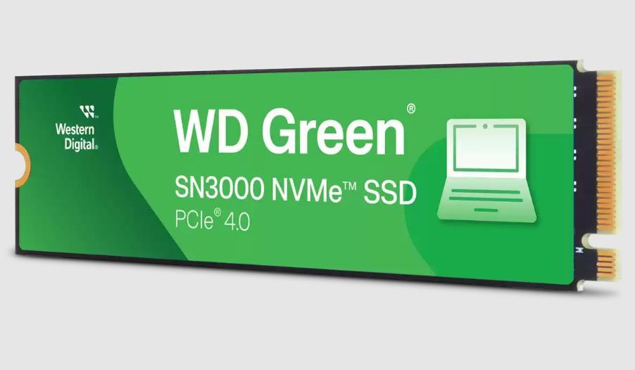 WESTERN DIGITAL WDS100T4G0E