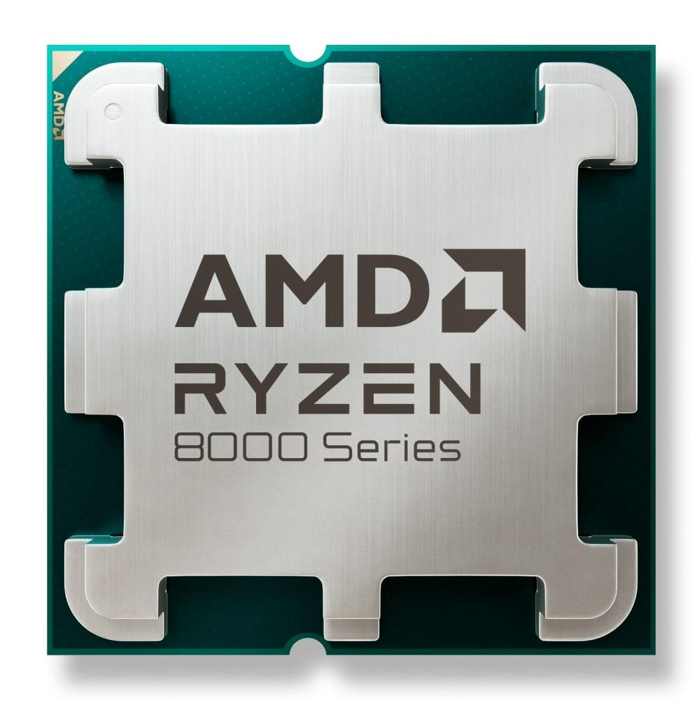 AMD 100-100001591MPK