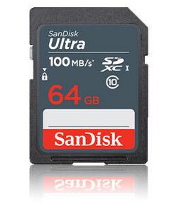 SANDISK SDSDUNR-064G-GN3IN