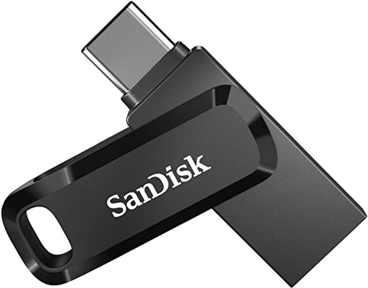 SANDISK SDDDC3-256G-G46