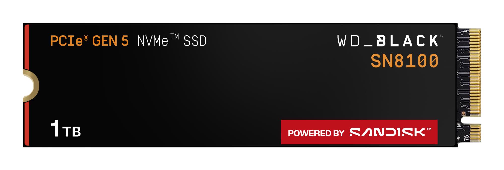 SANDISK WDS100T1X0M