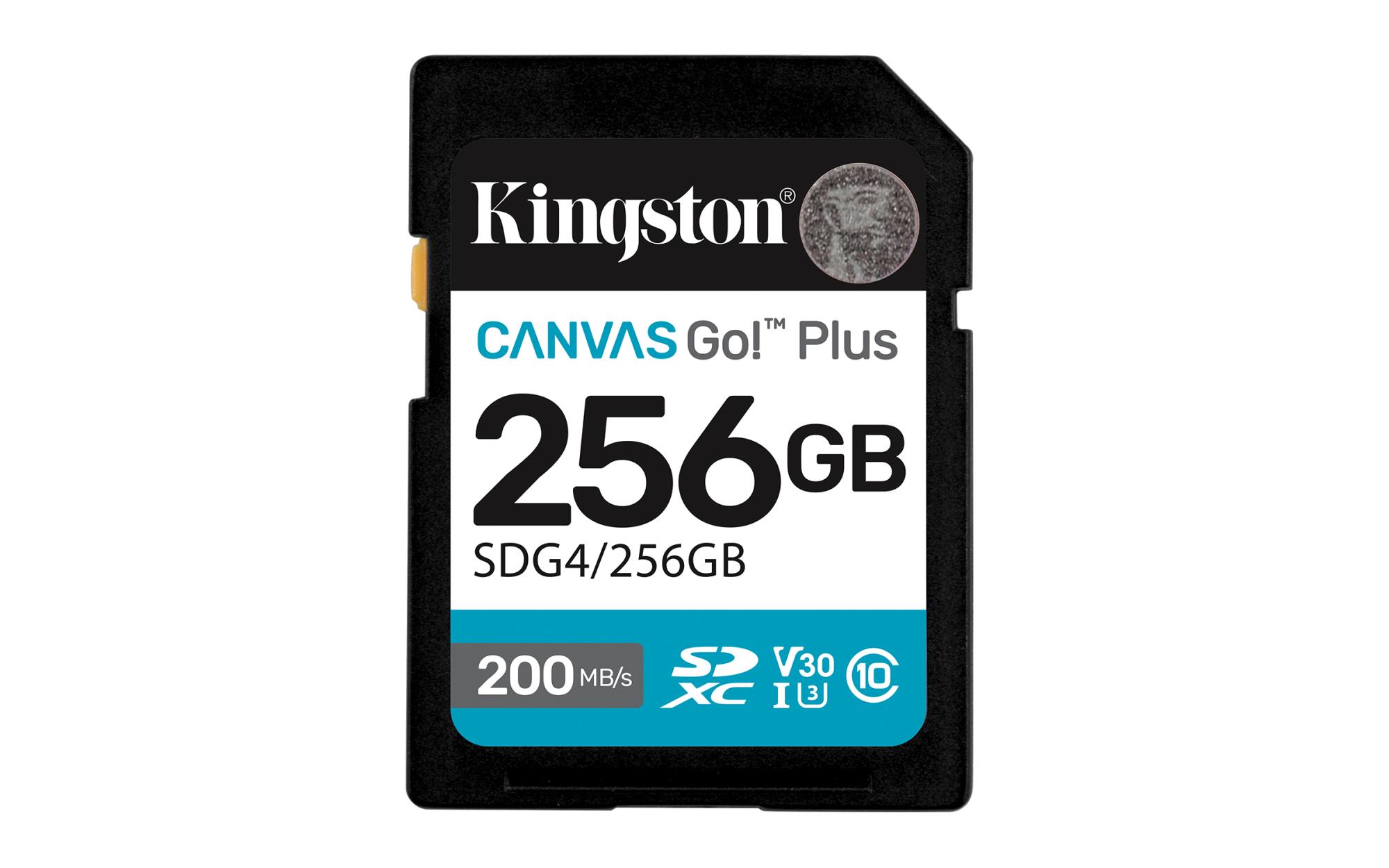 KINGSTON SDG4/256GB