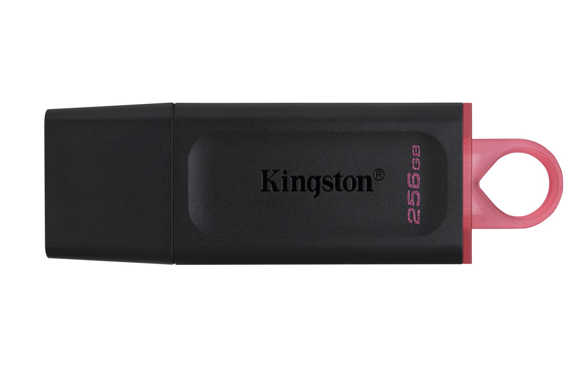 KINGSTON DTX/256GB