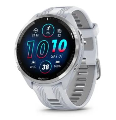 GARMIN 010-02809-11