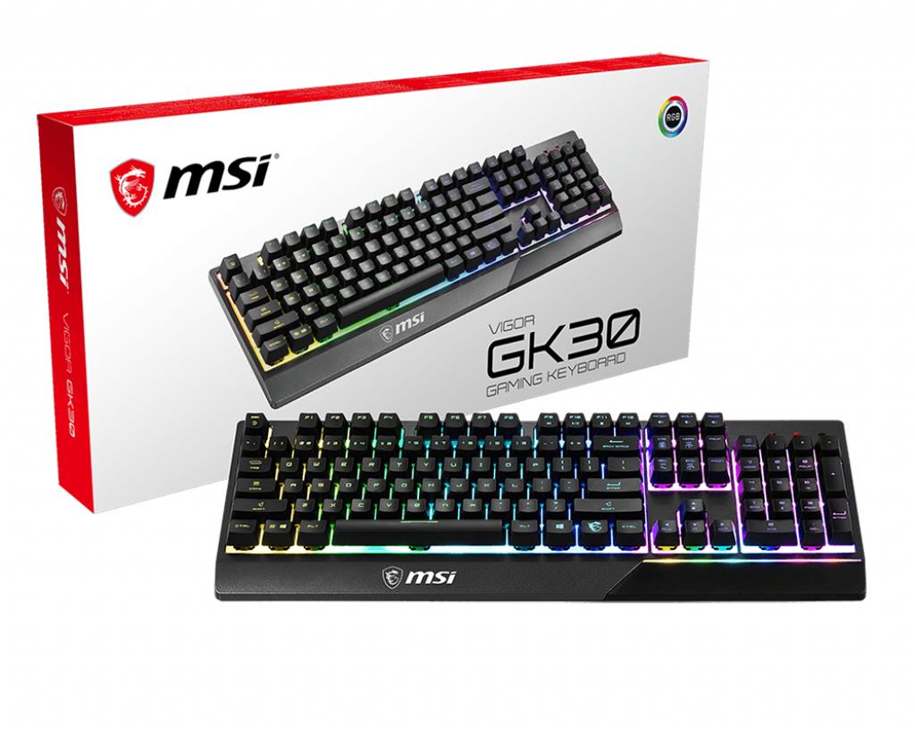 MSI VIGORGK30US