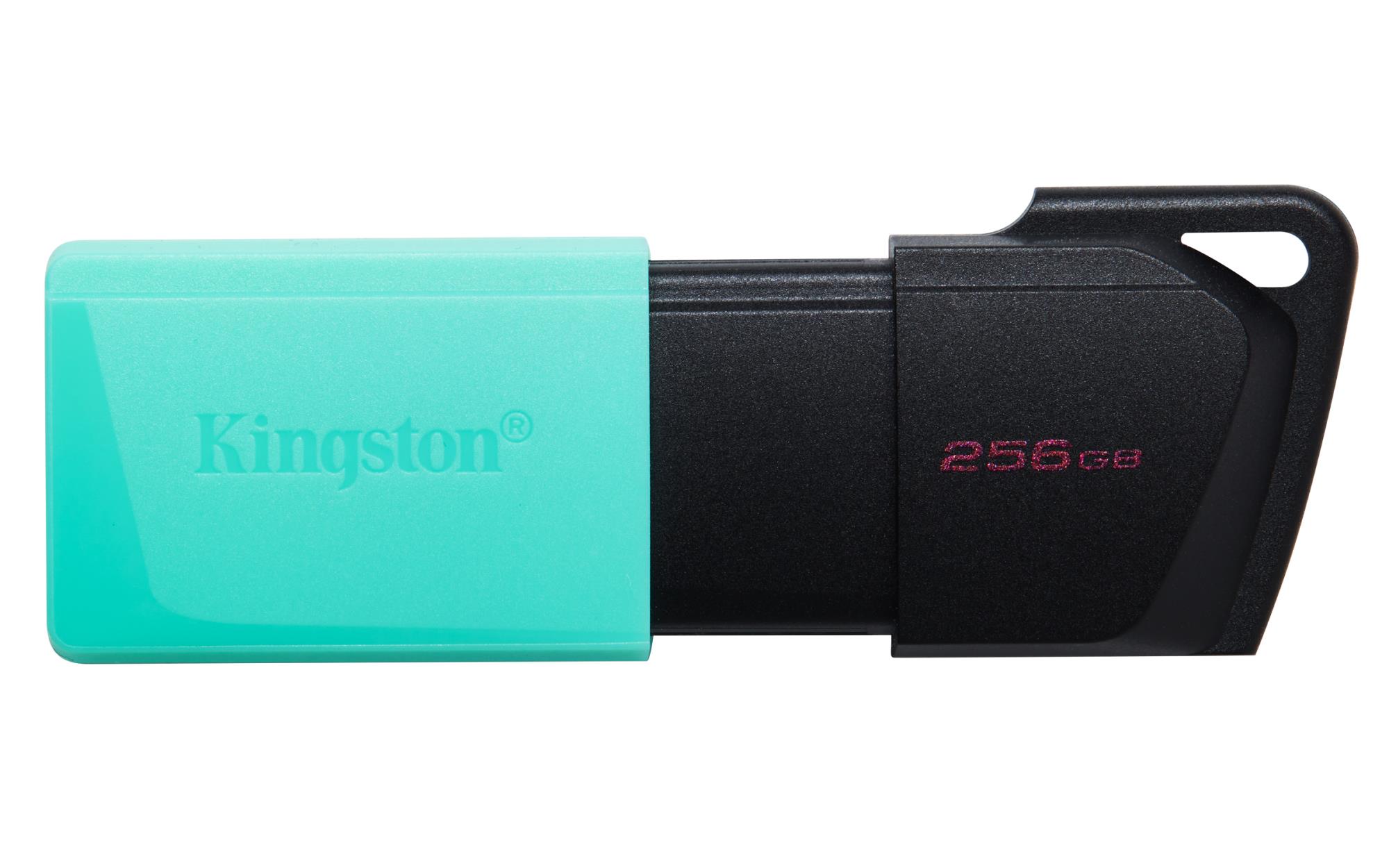 KINGSTON DTXM/256GB