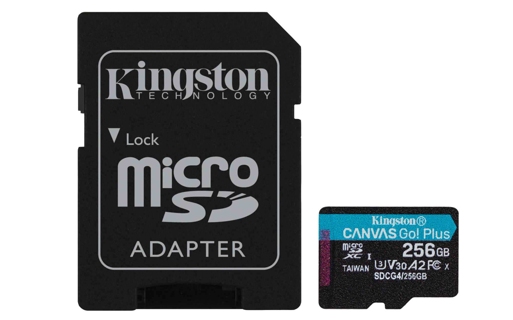 KINGSTON SDCG4/256GB