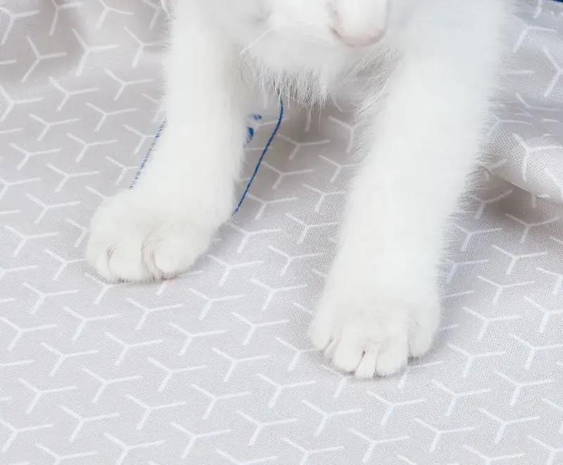 Змінна підкладка для наповнювача PETKIT High Performance Cat Litter Pad ULTRA P99035 (Білий) дивитися зображення № 9